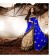 Designer saree